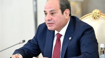 السيسي يؤكد أهمية الوعي في اختيار ممثلي البرلمان لمواجهة تحديات الدولة الراهنة